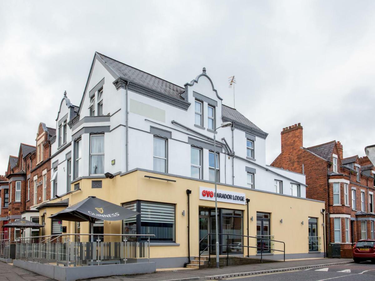 Oyo Parador Lodge Belfast Exteriör bild